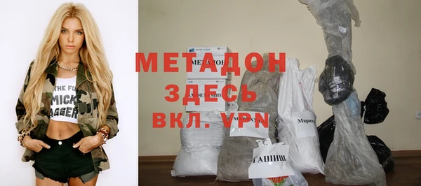 прущие грибы Магас