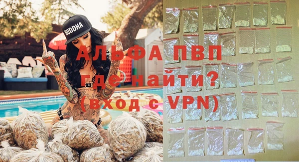 прущие грибы Магас