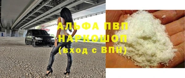 прущие грибы Магас