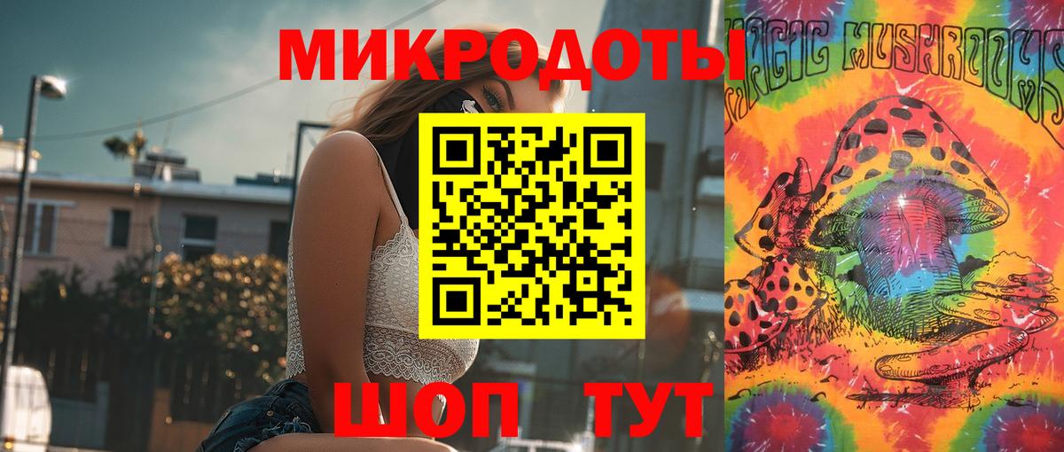 Псилоцибиновые грибы Psilocybine cubensis Чапаевск
